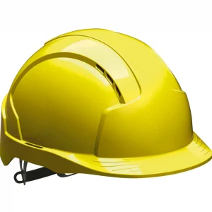 Safety Helmet (unit)